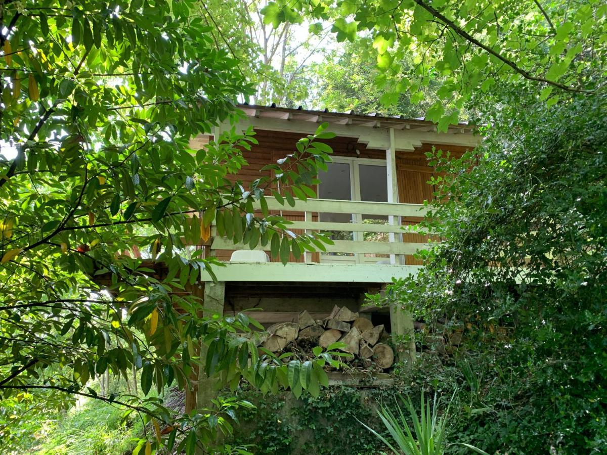 Chalet En Bord De Seine Villa Le Coudray-Montceaux Kültér fotó